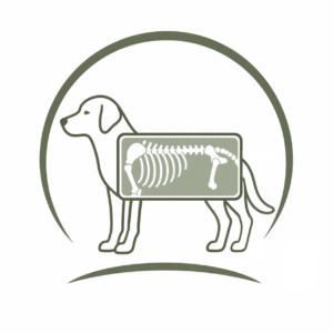 Veterinary X-ray logo featuring a dog silhouette with a square diagnostic imaging overlay showing aligned skeletal structure, designed in clean green tones with a circular frame.
