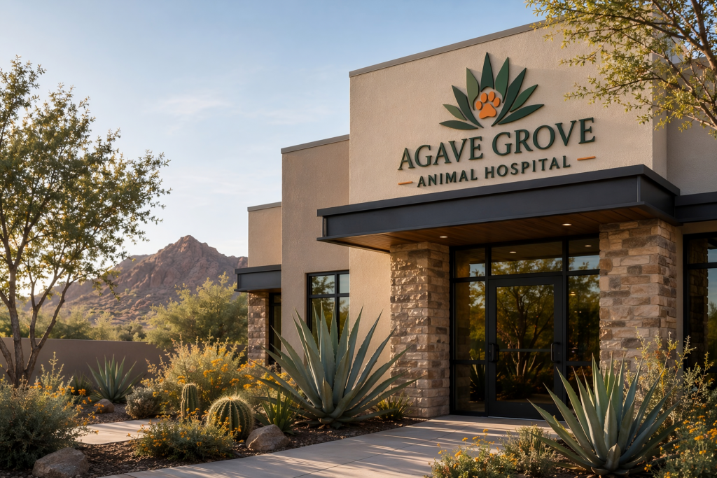 Modern desert-style veterinary clinic building with stone columns and glass entrance, landscaped with agave plants and native Arizona greenery. The Agave Grove Animal Hospital logo with a paw inside an agave icon and the name ‘Agave Grove Animal Hospital’ is mounted on the exterior facade. Warm natural sunlight with mountain scenery in the background.